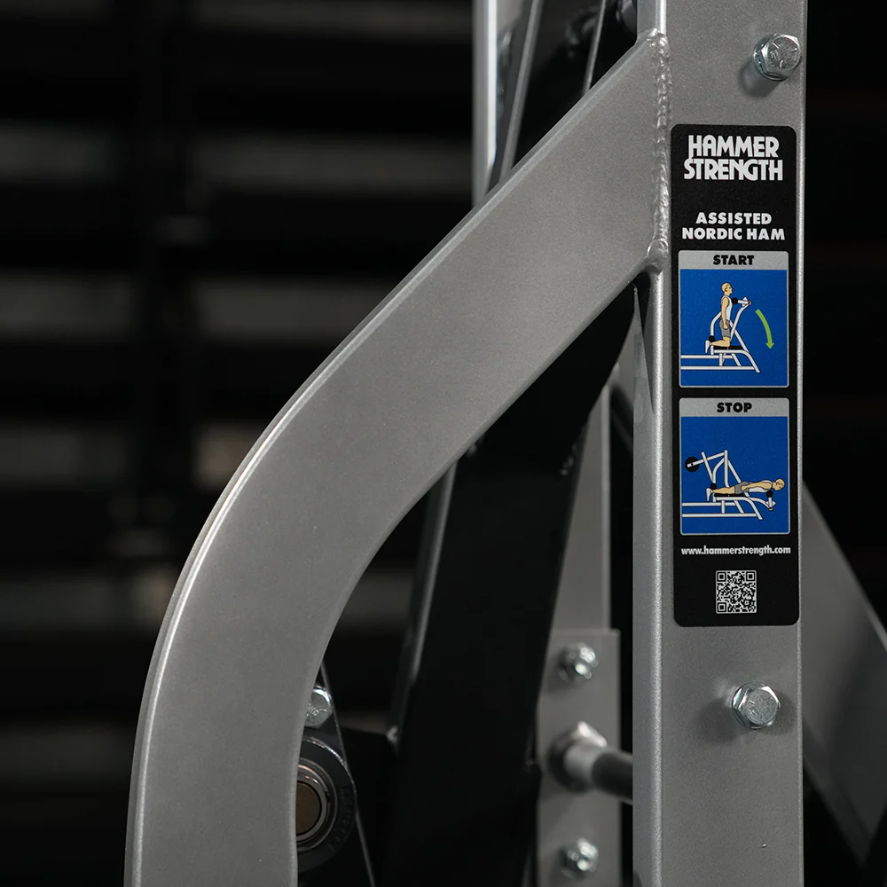Hammer Strength Assisted Nordic Ham - Image 15