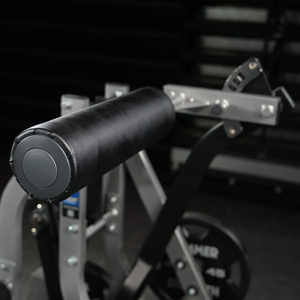 Hammer Strength Assisted Nordic Ham - Image 18