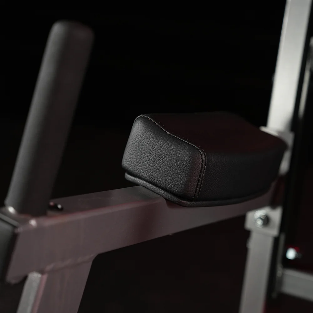 Hammer Strength Chin/Dip/Leg Raise - Image 10