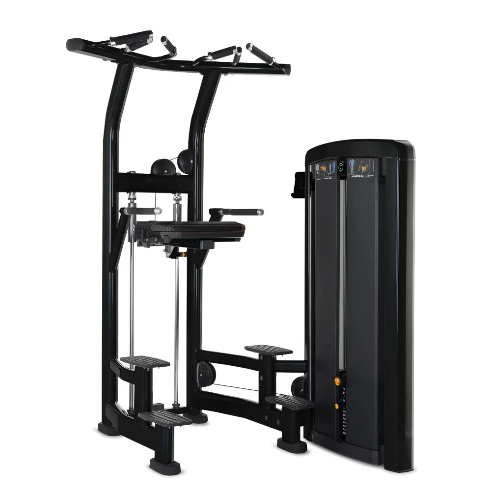 Insignia Series Assist Dip Chin